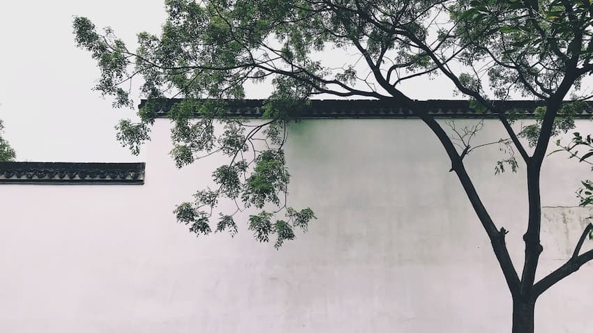 photo Zhang Song Meilleur cours chinois