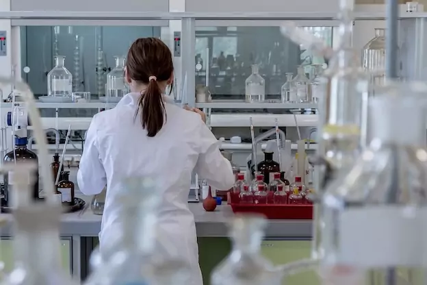 notre écosystème Formation en langue professionnelle