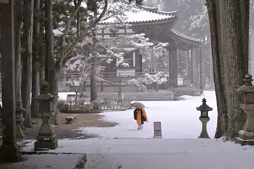 Cours Japonais distance